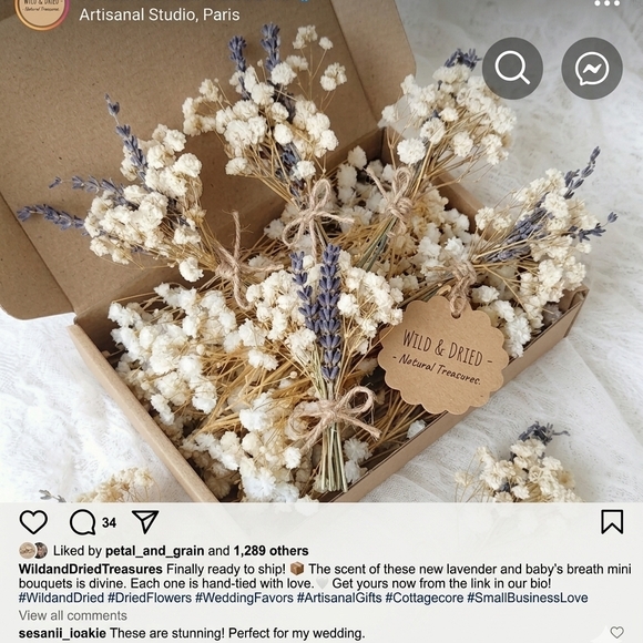 Baby's Breath (Gypsophila) Stem flowers- Dry Flower Bouquet DIY organic Material - Picture 8 of 11